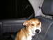 Picture 044.jpg